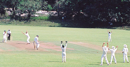 A vociferous, but unsuccessful, appeal in the game against South Africa.